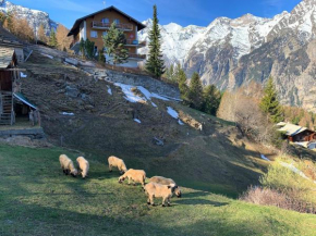 Panorama at Haus Waldheim Nr. 11